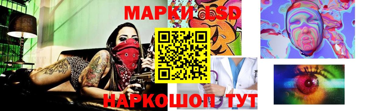 МЕФ Заринск