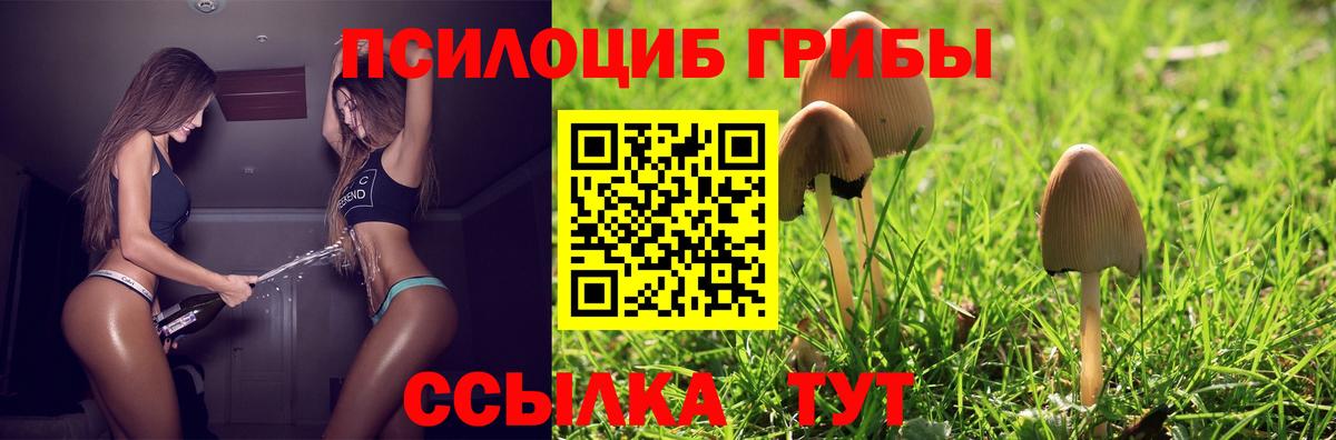 Галлюциногенные грибы Magic Shrooms  Вход с VPN  Заринск 