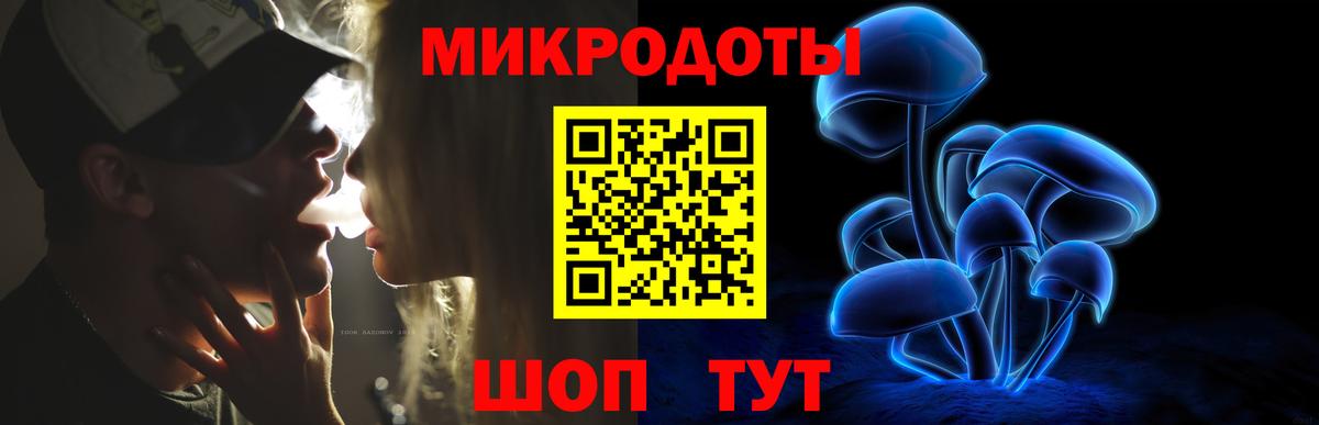 Галлюциногенные грибы Psilocybe  Заринск  магазин продажи   Галлюциногенные грибы Psilocybine cubensis 