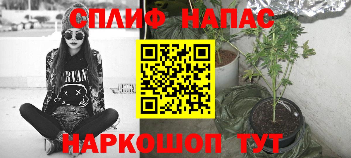 Каннабис план  Шишки марихуана планчик  Вход с VPN  Бошки марихуана AK-47  Заринск 